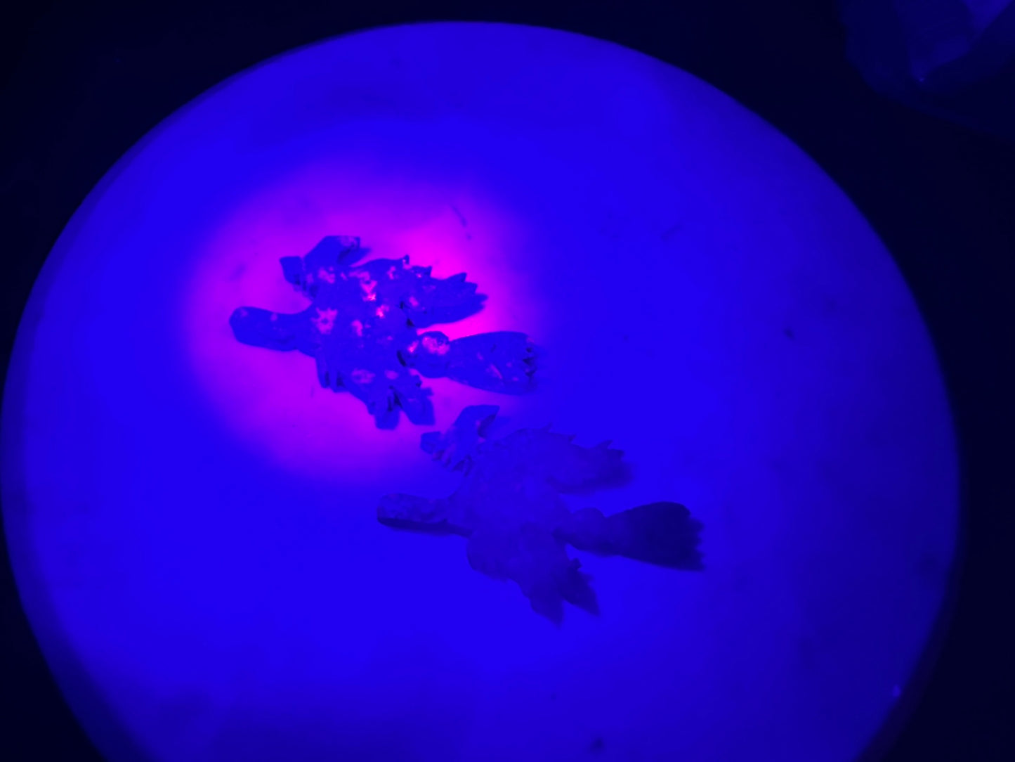 Witch on Broom made from Yooperlight with free Torch - Enchant & Delight