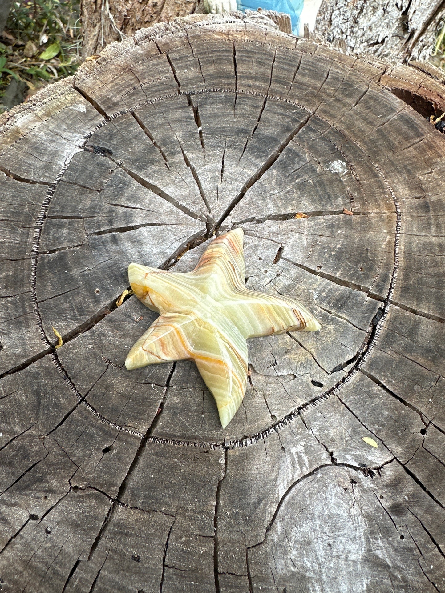 Afghan Jade Starfish carving - Enchant & Delight