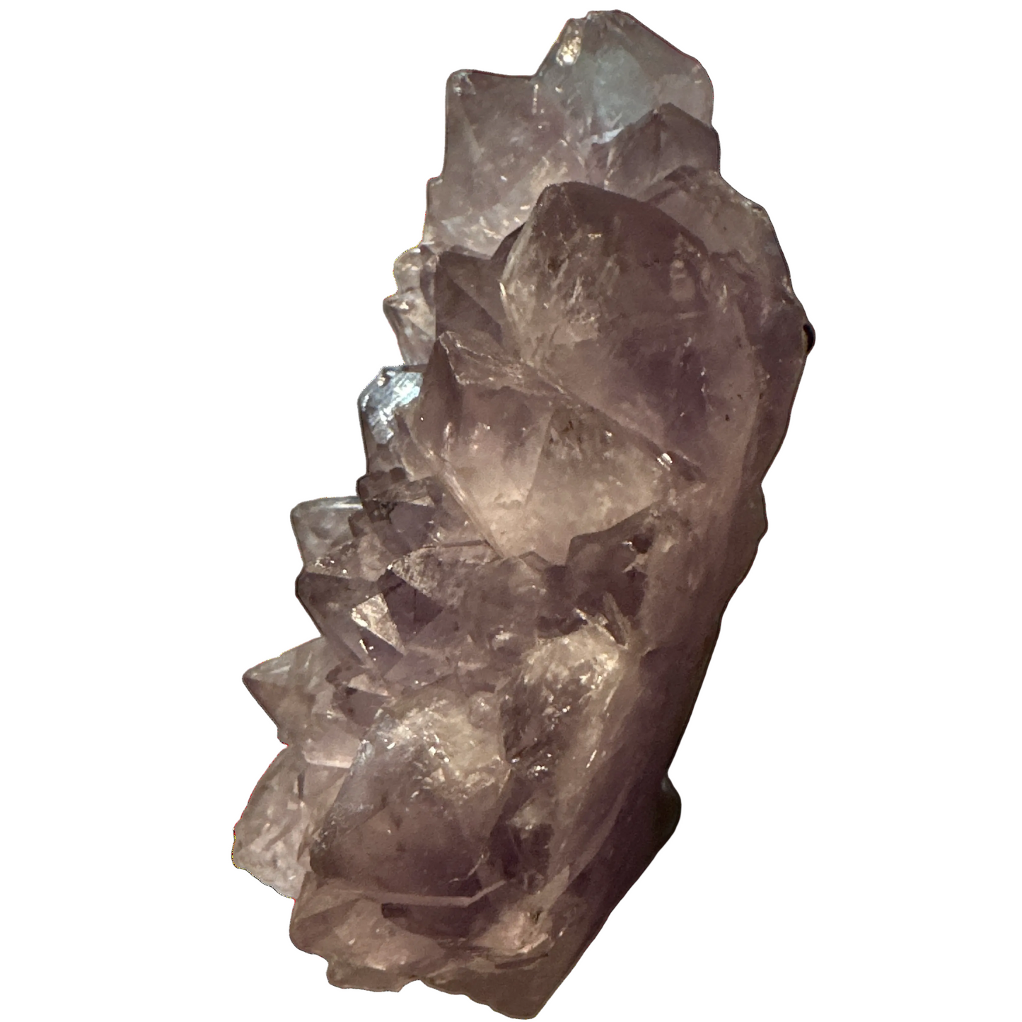 Amethyst Creature Cluster - Enchant & Delight