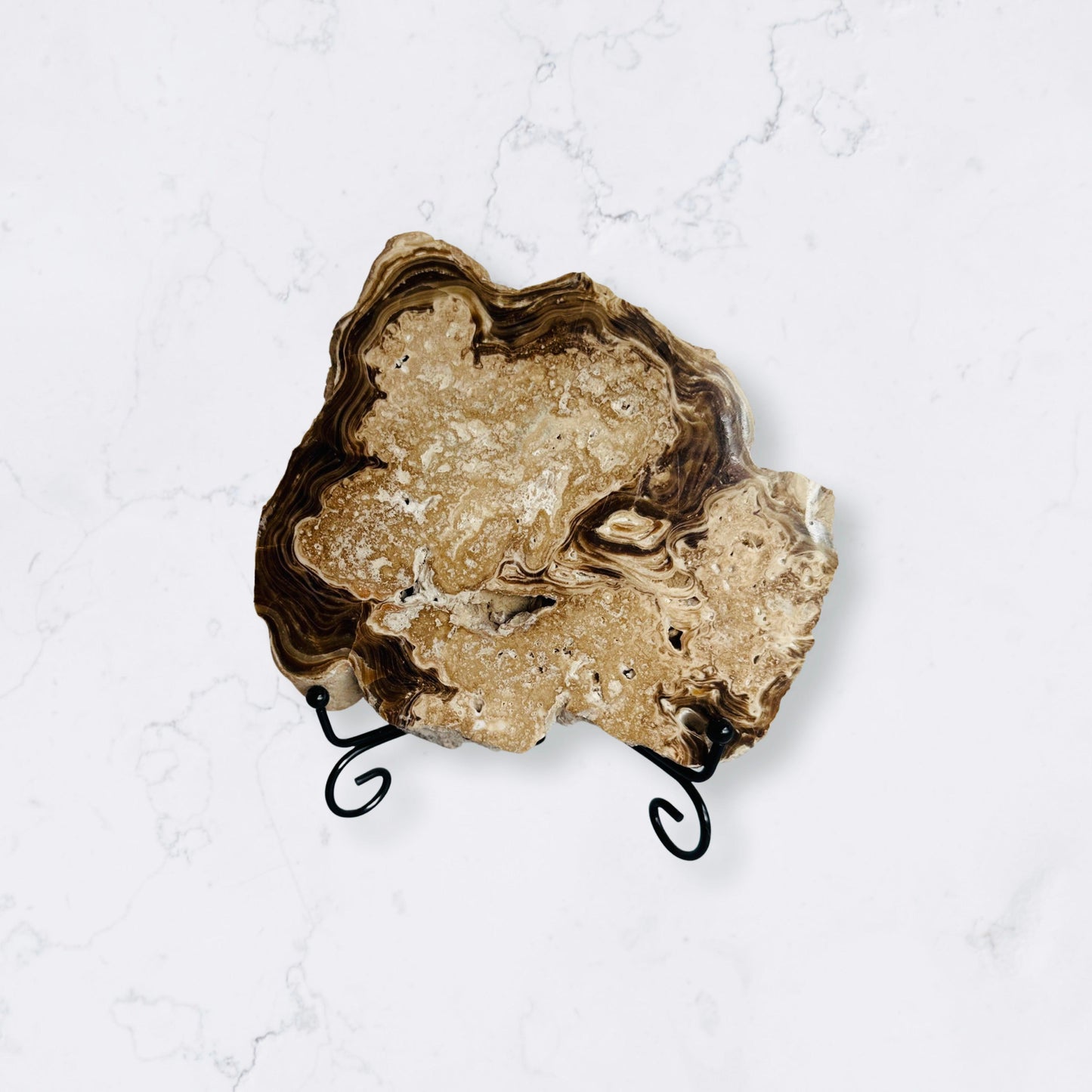 Chocolate Calcite - Enchant & Delight
