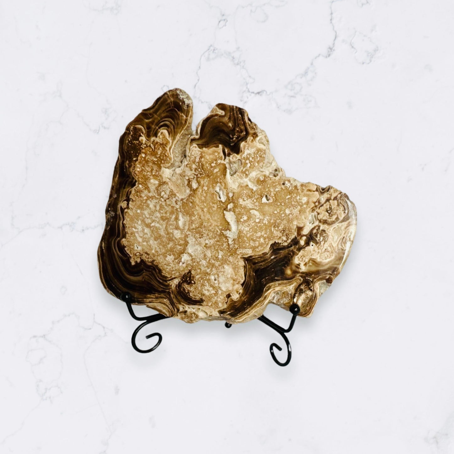 Chocolate Calcite - Enchant & Delight