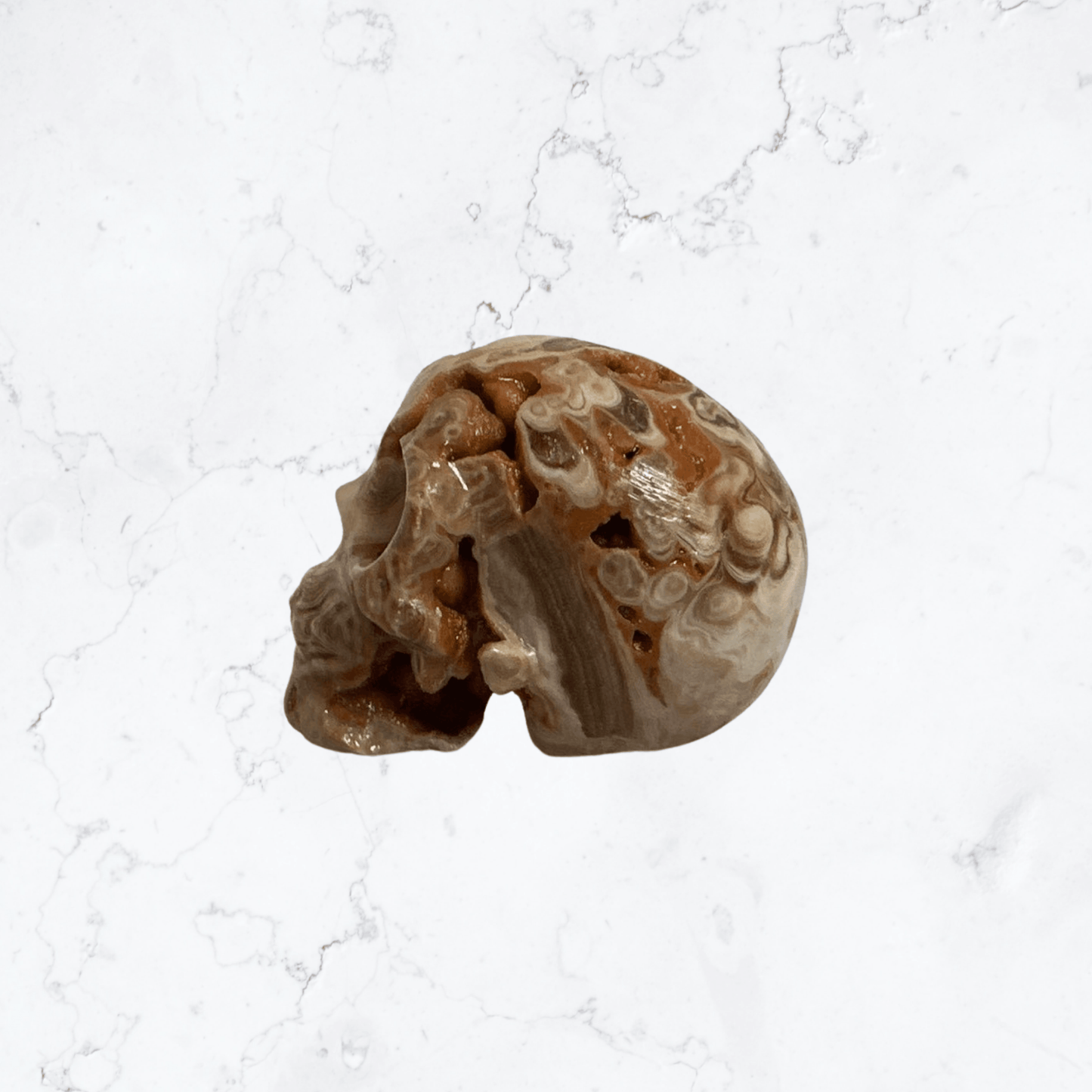 Crazy Lace Agate Crystal Skull Carving - Enchant & Delight