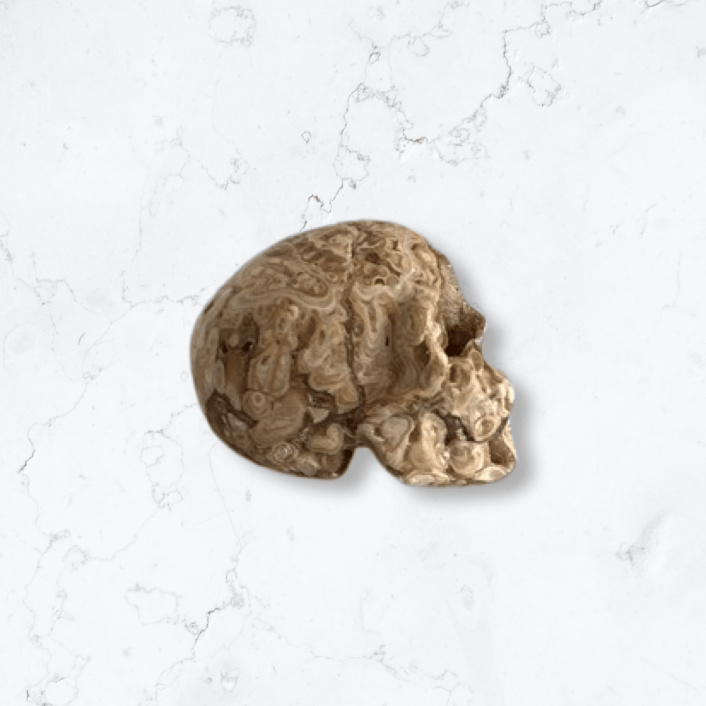 Crazy Lace Agate Crystal Skull Carving - Enchant & Delight