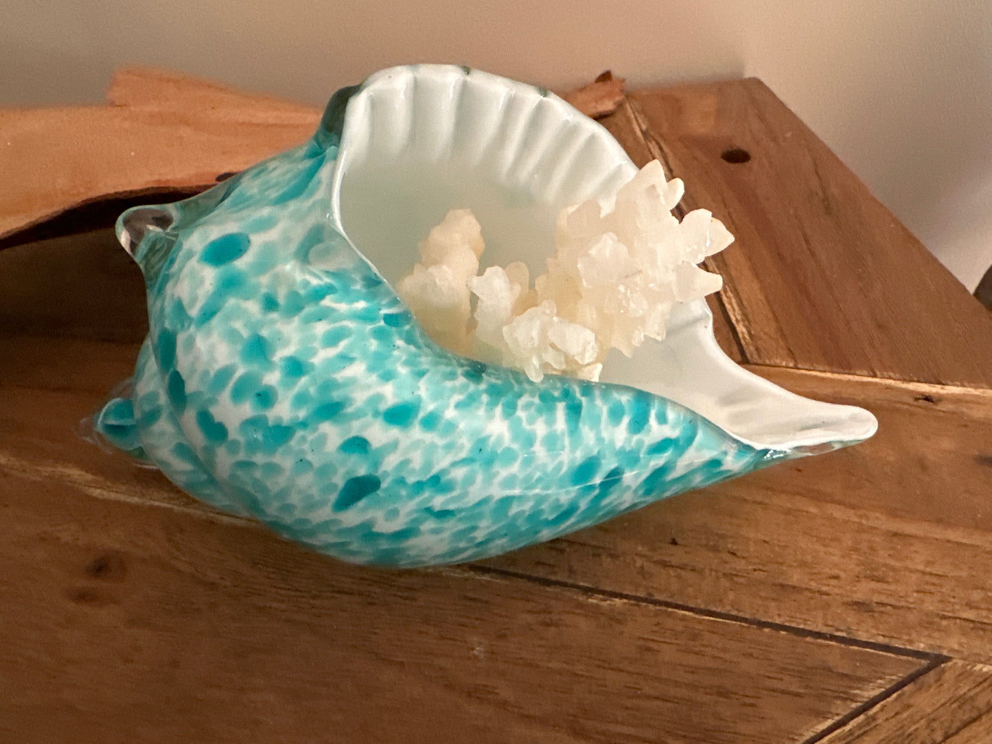 Glass Sea Shell with Calcite Coral - Enchant & Delight