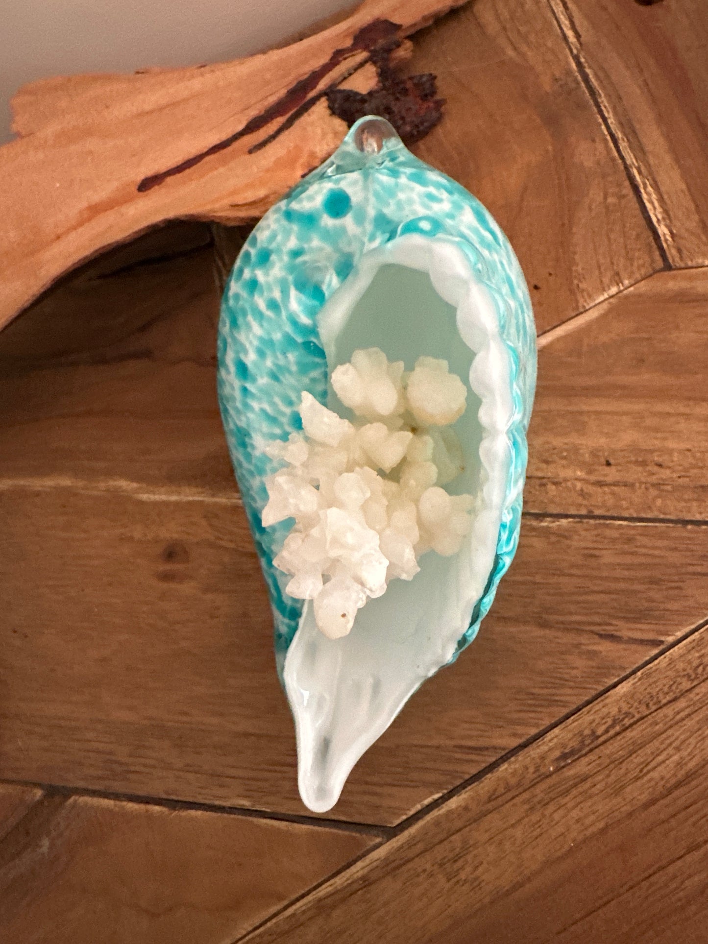 Glass Sea Shell with Calcite Coral - Enchant & Delight