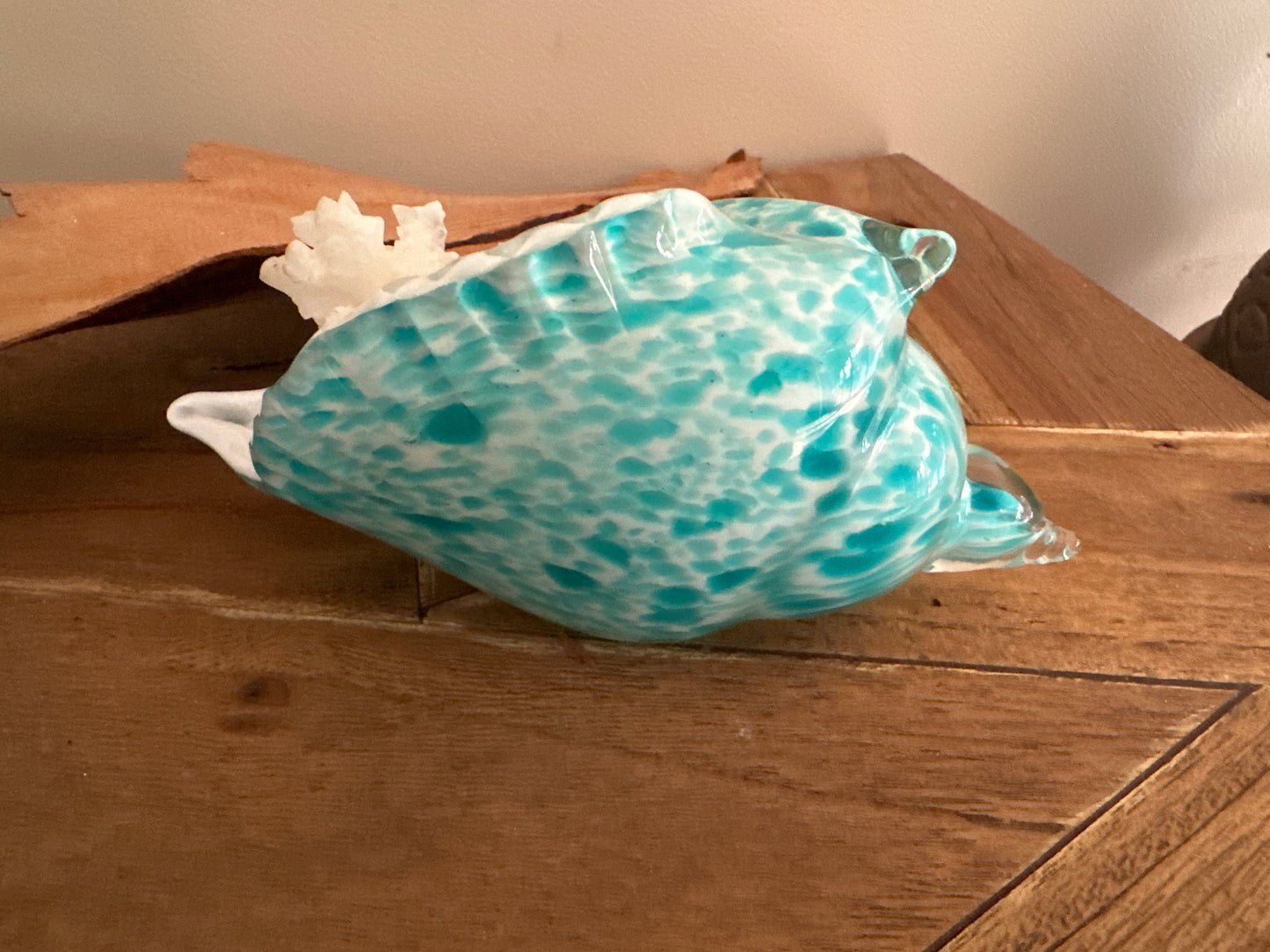 Glass Sea Shell with Calcite Coral - Enchant & Delight