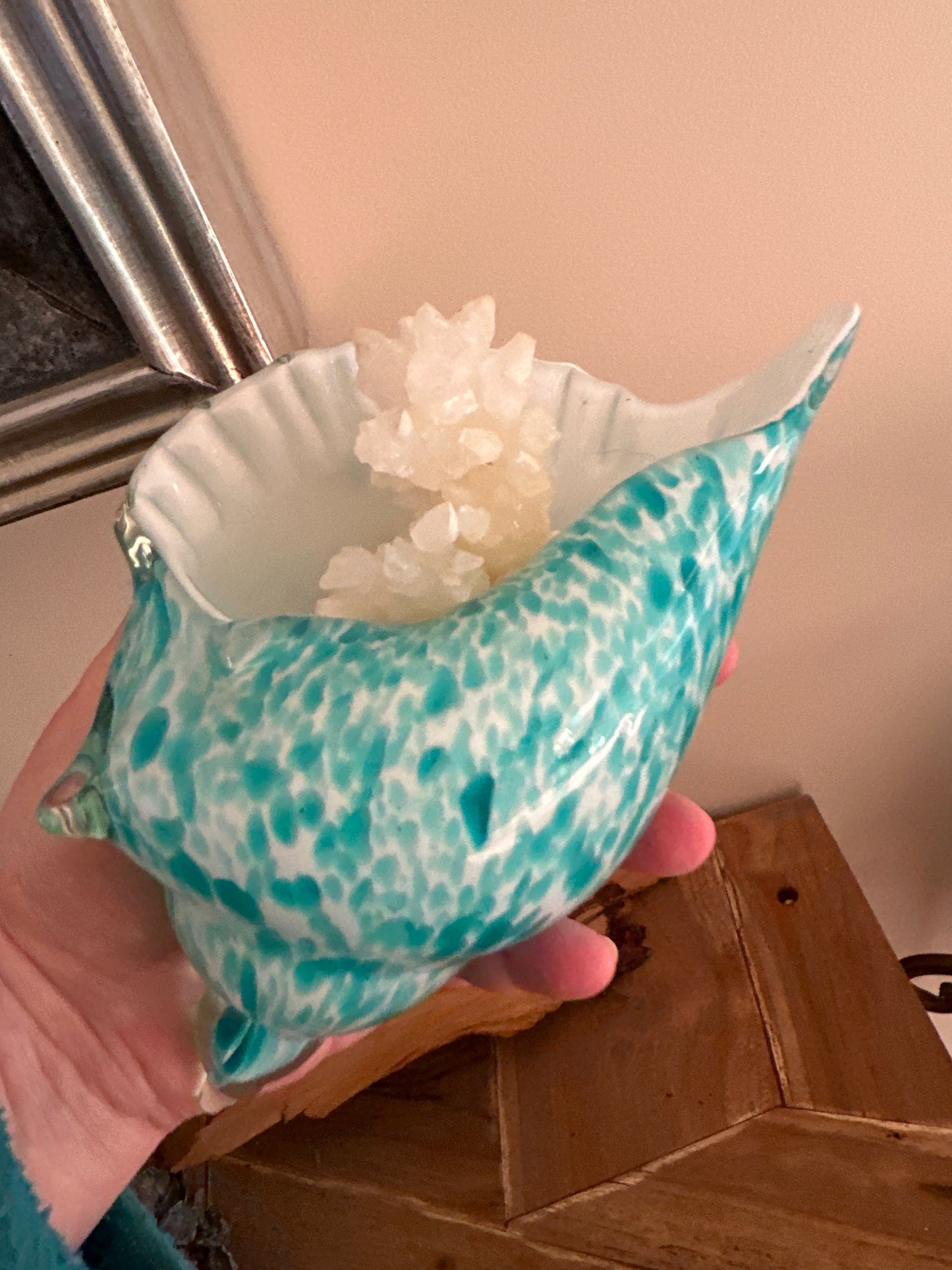 Glass Sea Shell with Calcite Coral - Enchant & Delight