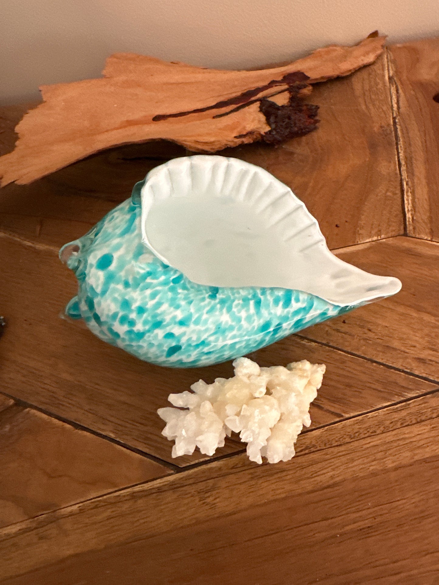 Glass Sea Shell with Calcite Coral - Enchant & Delight