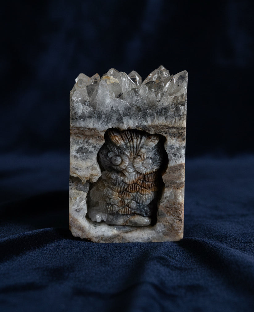 Owl Crystal Cave Display