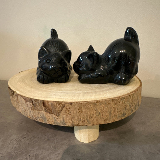 Black Obsidian Cat Carving – Protection & Intuition
445g