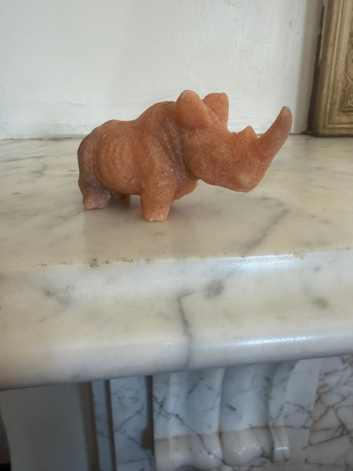 Sunstone Rhino — Symbol of Strength, Vitality & Personal Power