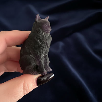 Inspired by Ares, the beloved Maine Coon mascot of Enchant & Delight.