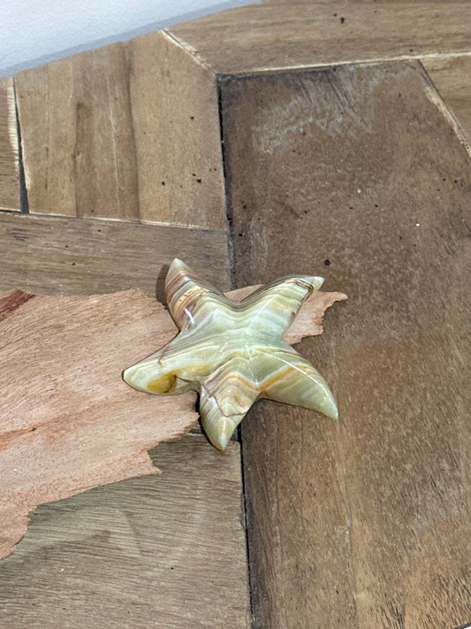 Afghan Jade Starfish carving - Enchant & Delight