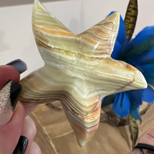 Afghan Jade Starfish carving - Enchant & Delight