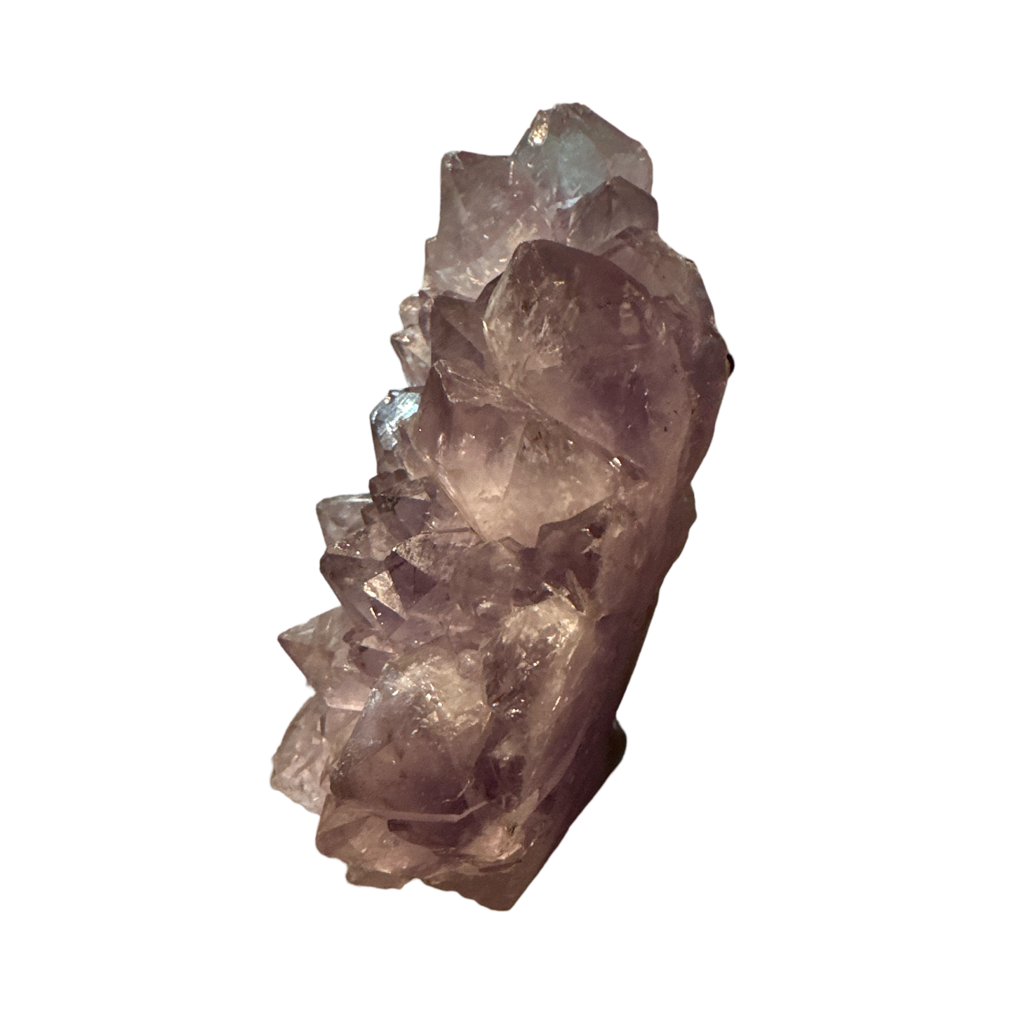 Amethyst Creature Cluster - Enchant & Delight