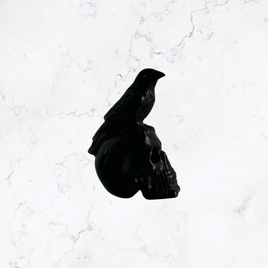 Black Obsidian Skull & Raven carving - Enchant & Delight