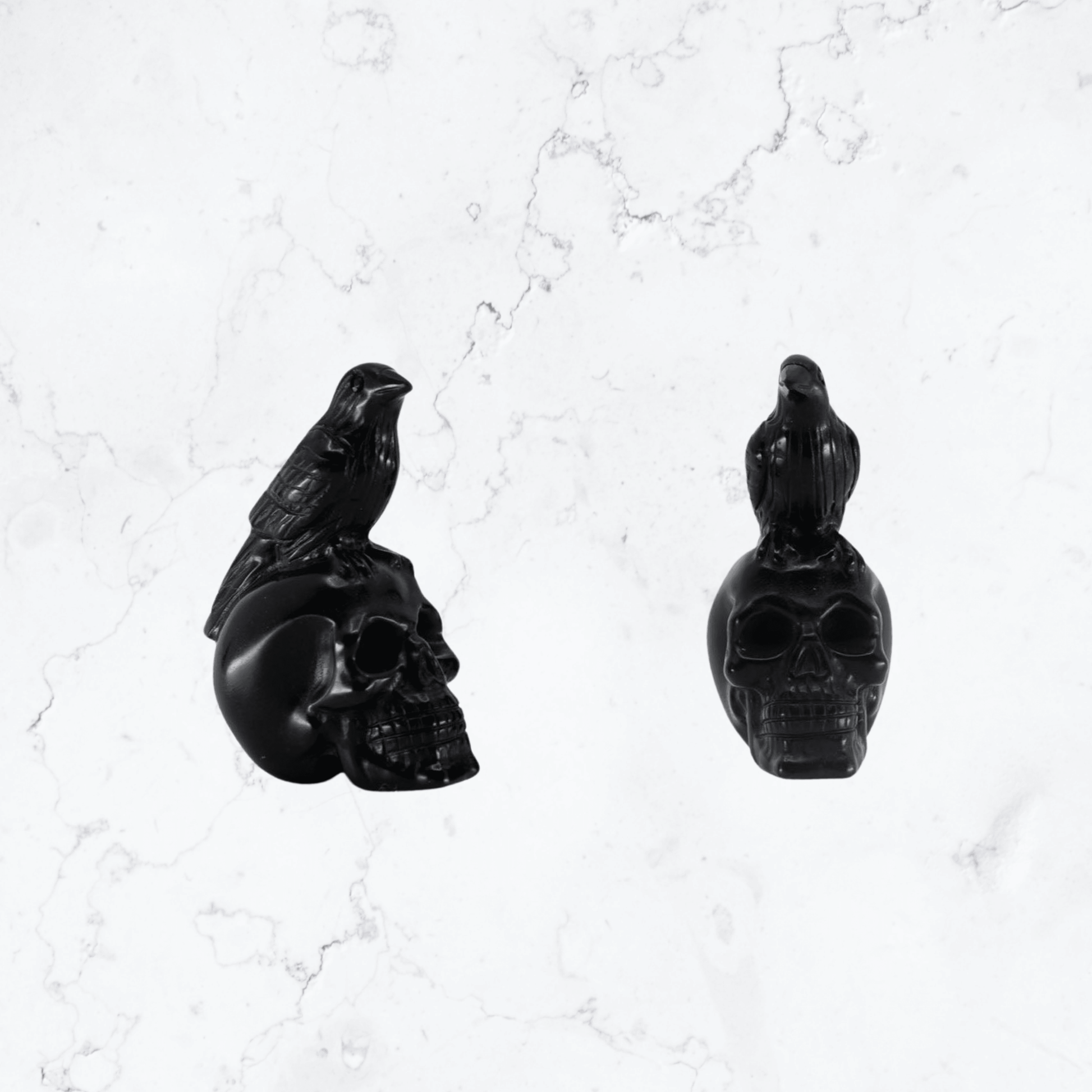 Black Obsidian Skull & Raven carving - Enchant & Delight