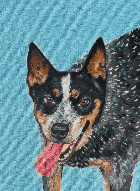 Capture Your Blue Heeler's Charm with a Custom Acrylic Portrait! ( Sample Only) - Enchant & Delight
