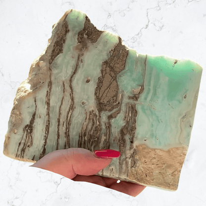 Caribbean Calcite Slab - Enchant & Delight