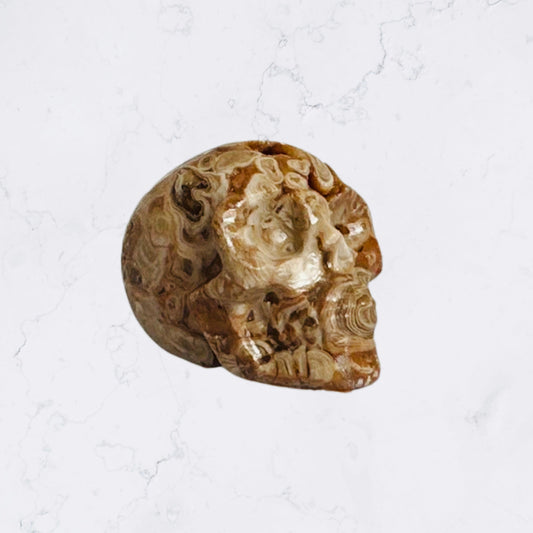 Crazy Lace Agate Crystal Skull Carving - Enchant & Delight