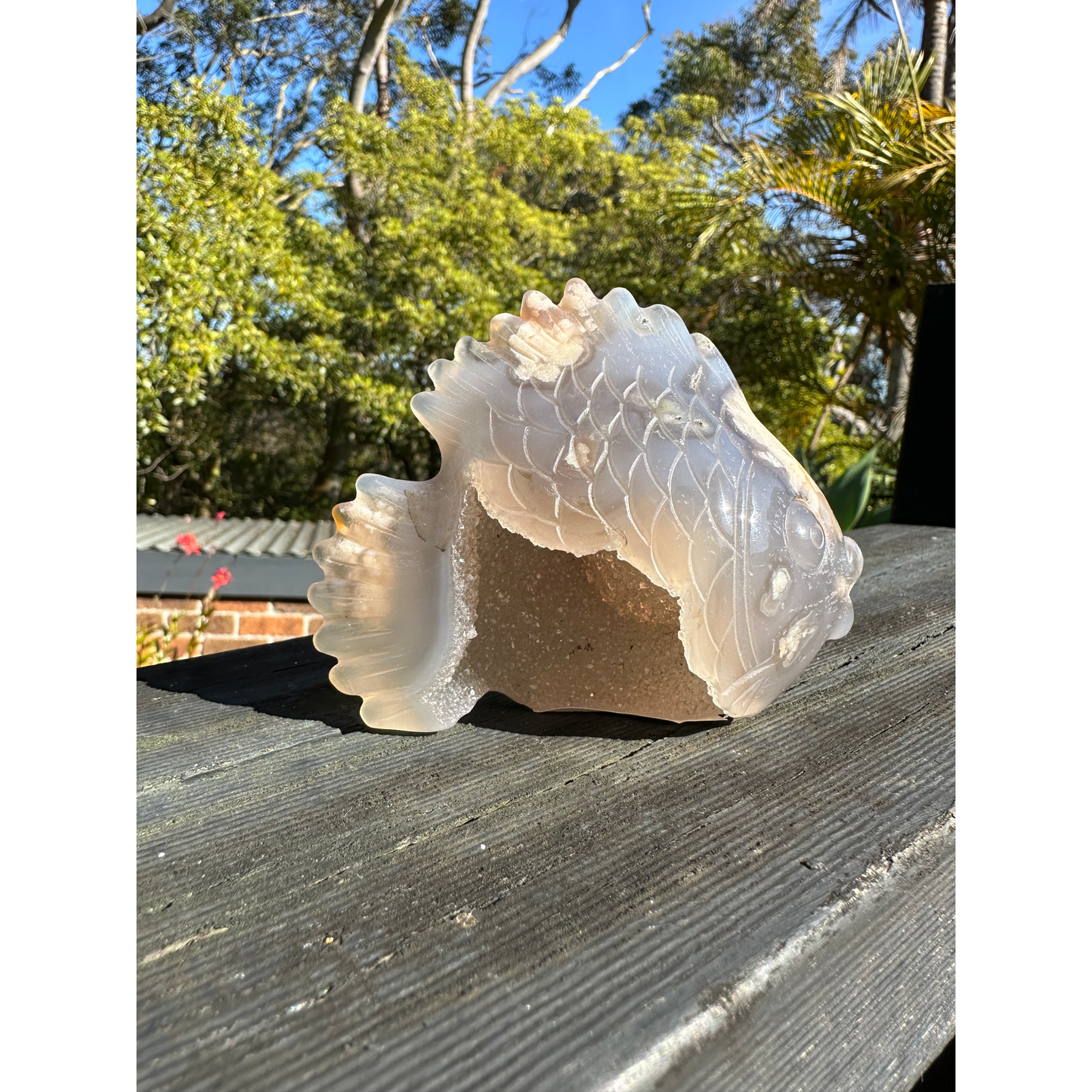 ✨ Flower Agate Fish Carving with Druzy – Growth, Flow & New Beginnings