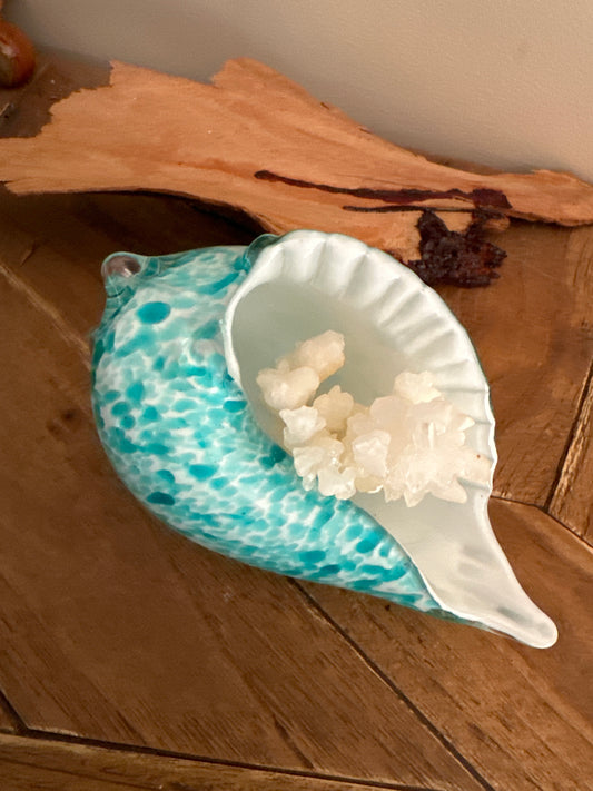 Glass Sea Shell with Calcite Coral - Enchant & Delight