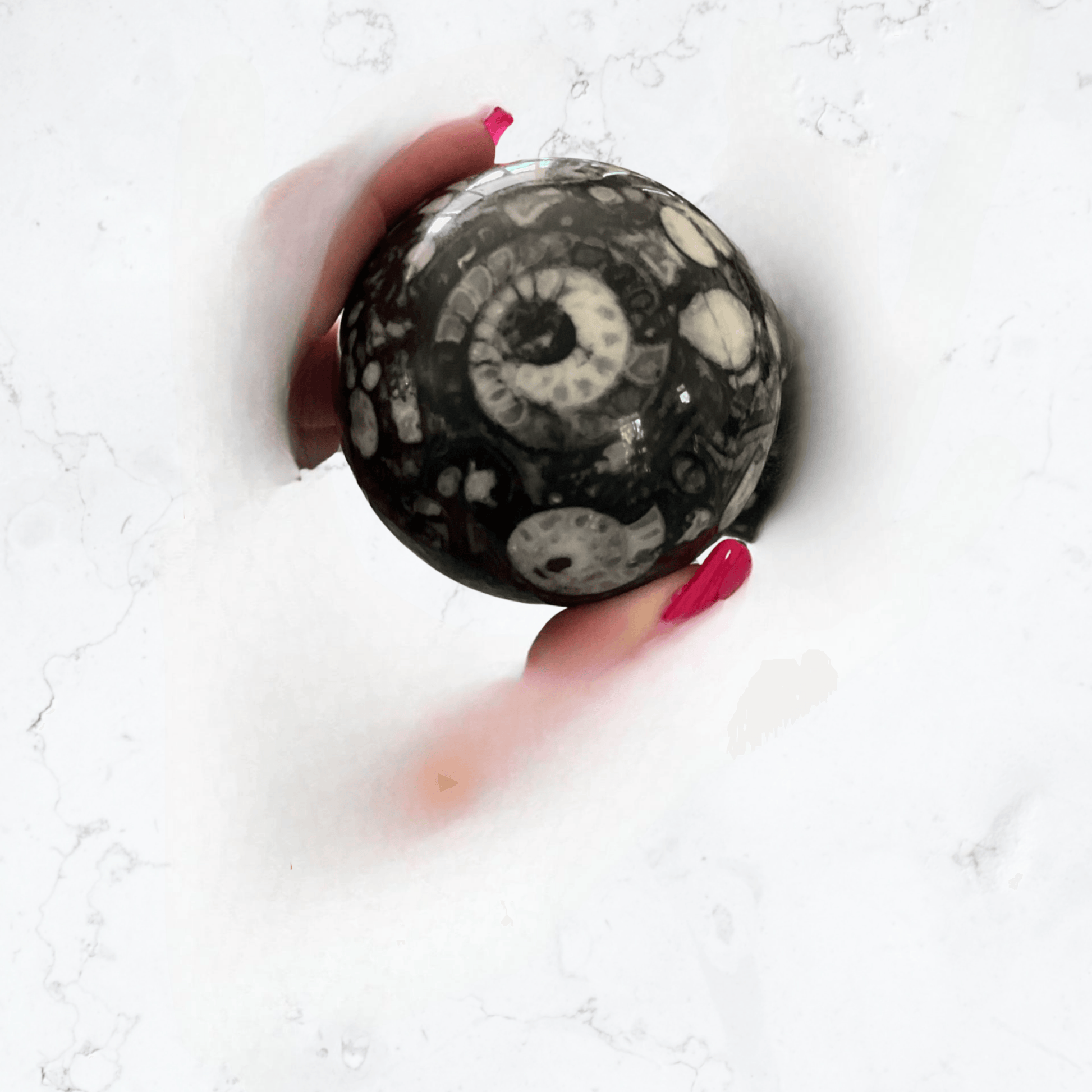 Moroccan Ammonite Sphere - Enchant & Delight