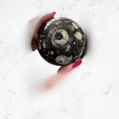 Moroccan Ammonite Sphere - Enchant & Delight