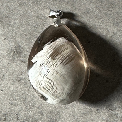 Multilayer Phantom White
Melaleuca ghost Quartz Pendant - Enchant & Delight